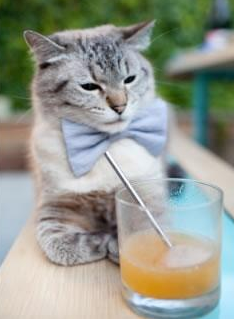 九游社区-以足球为纽带的国际交流合作不断深化,提倡足球