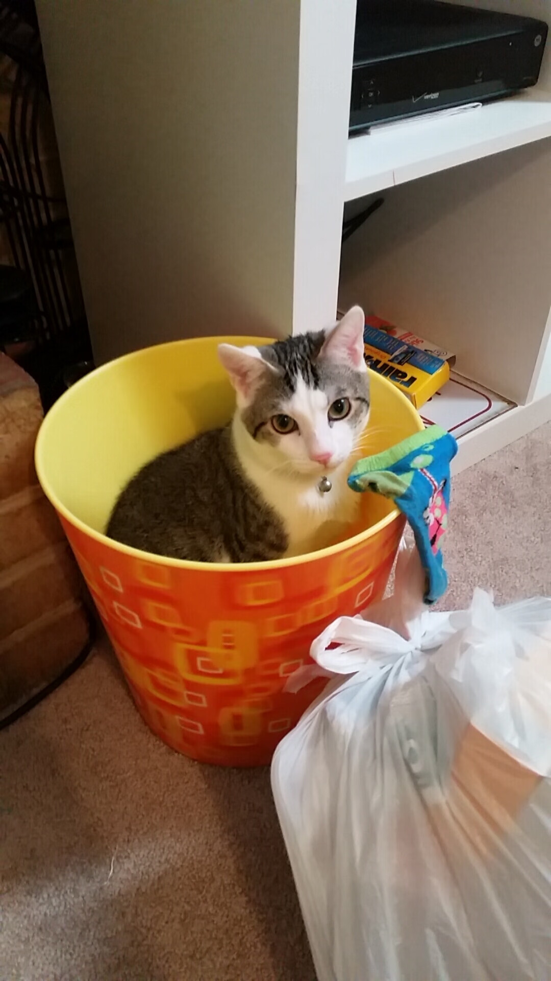 九游社区-以足球为纽带的国际交流合作不断深化,提倡足球