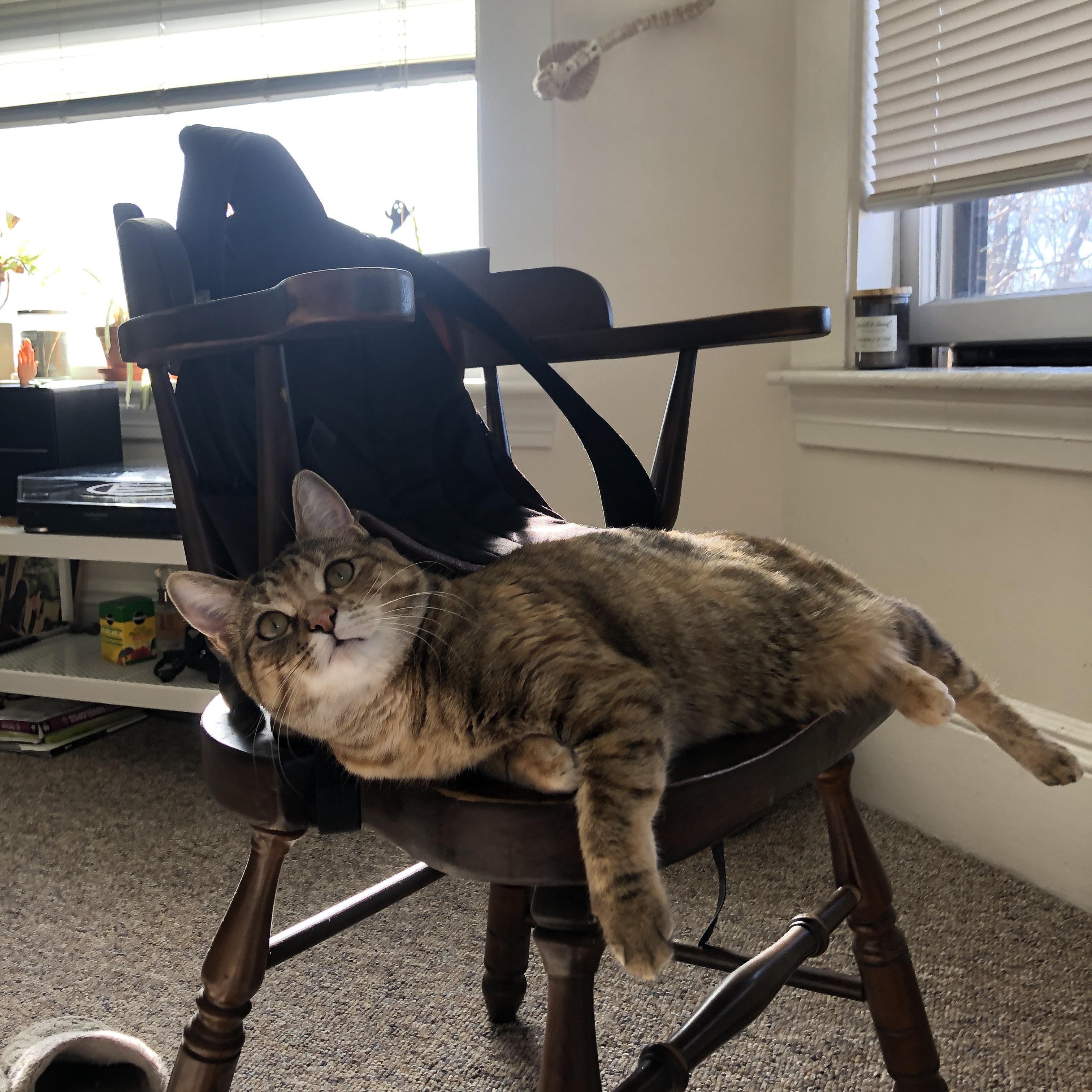 九游电竞平台官网-中国篮球运动员海外交流项目取得突破，中国国籍的篮球外国人